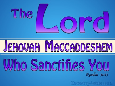 Exodus 31:13 The Lord Who Sanctifies You (blue)